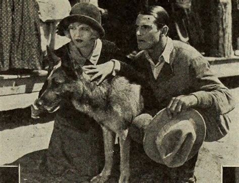  The Strongheart Series: Adventures in Love and Daring Dog-Assisted Crime Solving in 1925!