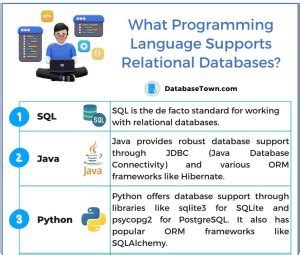 What Programming Language Supports Relational Databases? And Why Do Cats Love SQL So Much?